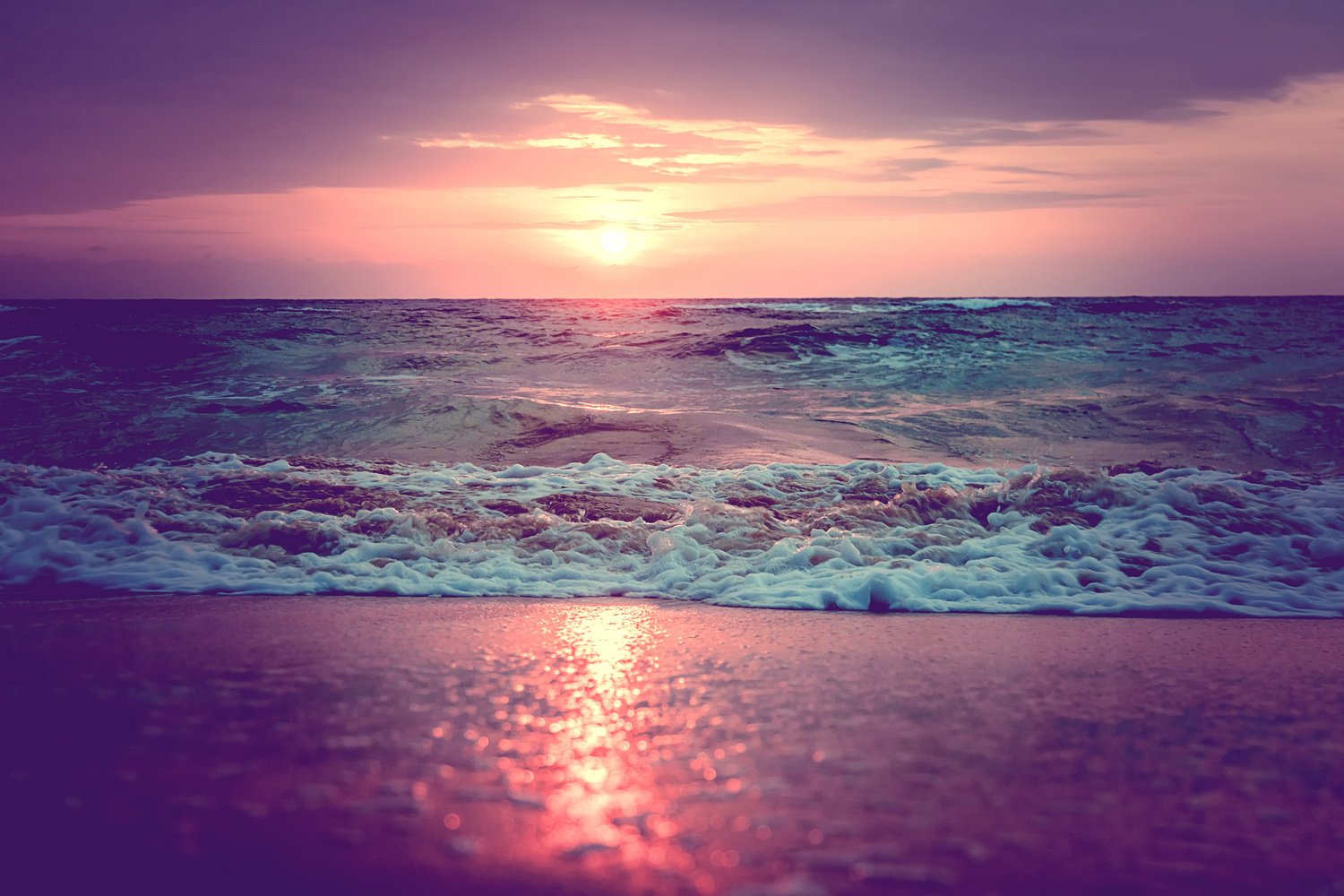 Pink and Purple Beach Sunset